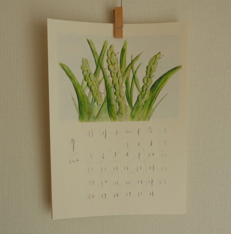 お米の1年カレンダー🌾