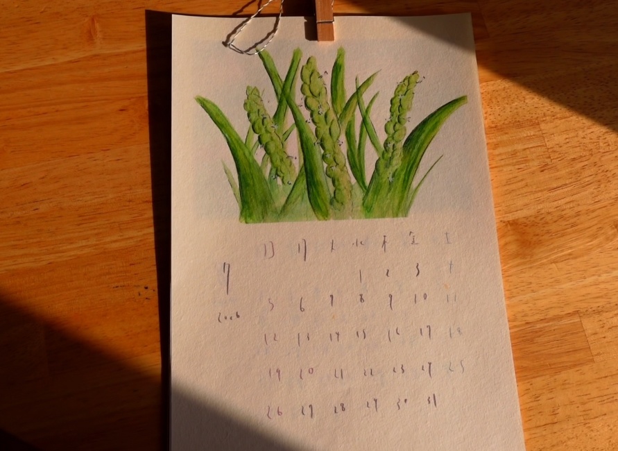 お米の1年カレンダー🌾