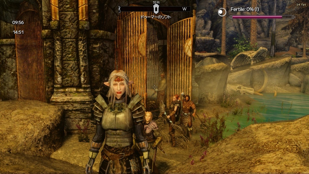 MagicalX【Skyrim SE/AE用のReShadeプリセット】