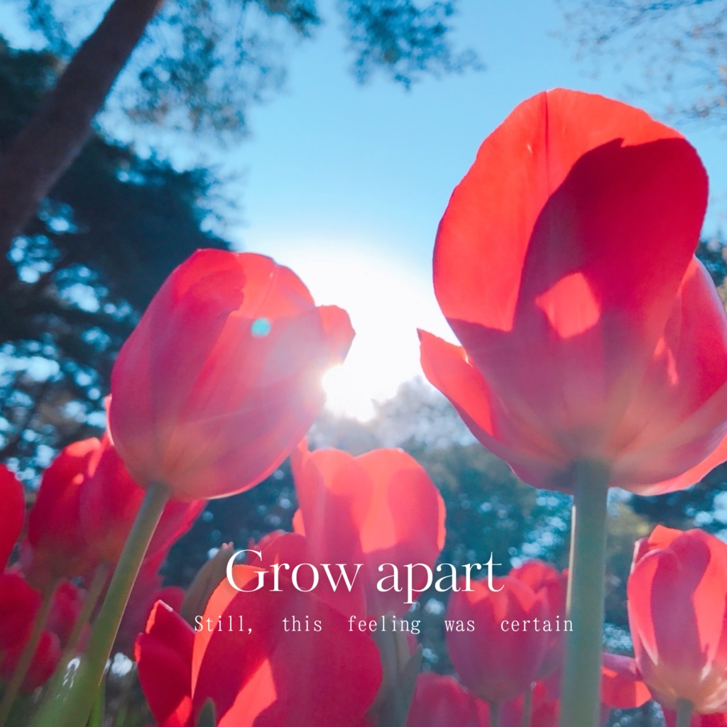 1st EP 『Grow apart 〜Still, this feeling was certain 〜』