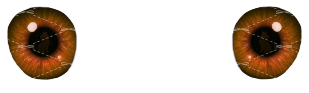 【Manuka マヌカ対応】隠れ猫シルエットアイテクスチャ Hidden cat silhouette eye texture