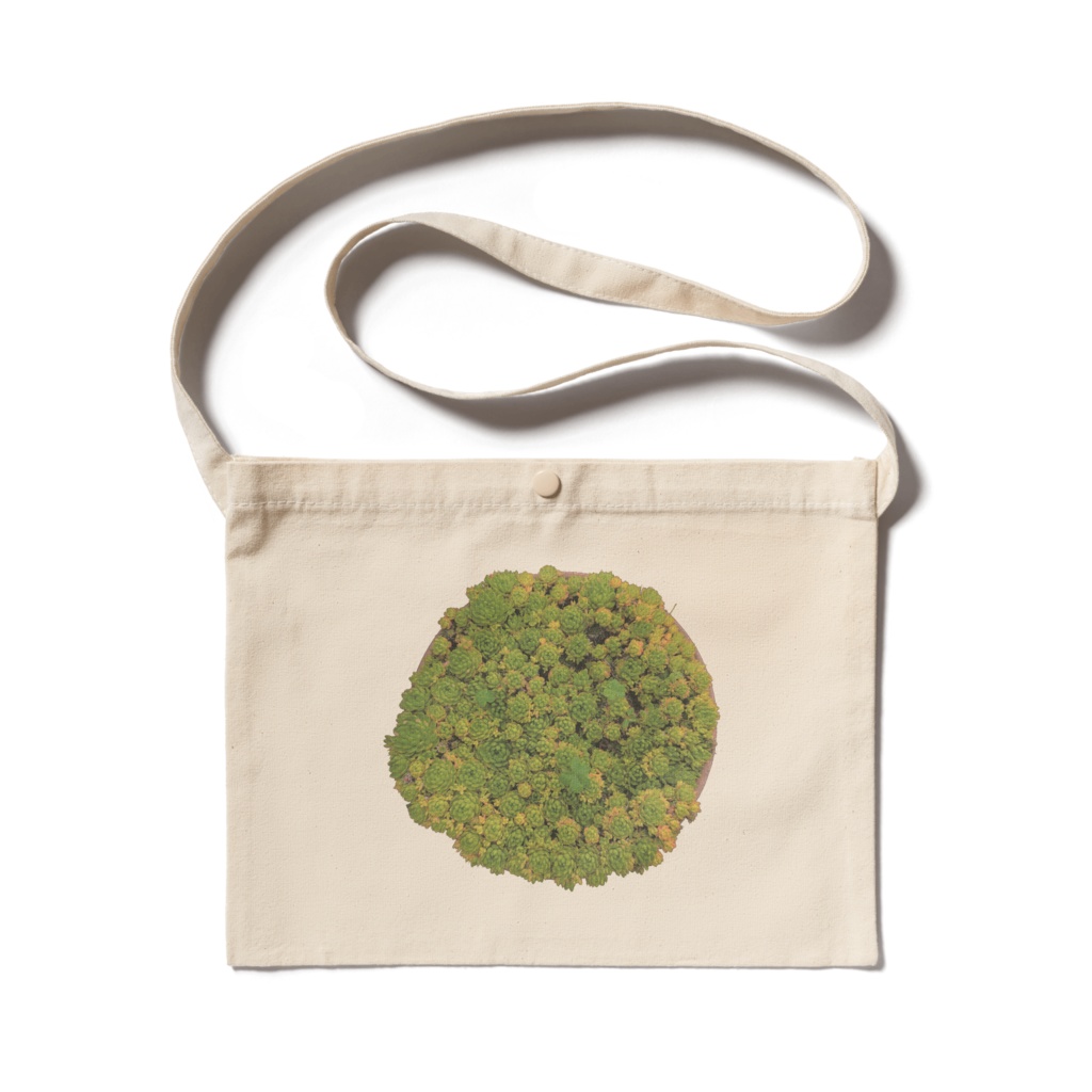 多肉植物の生命感