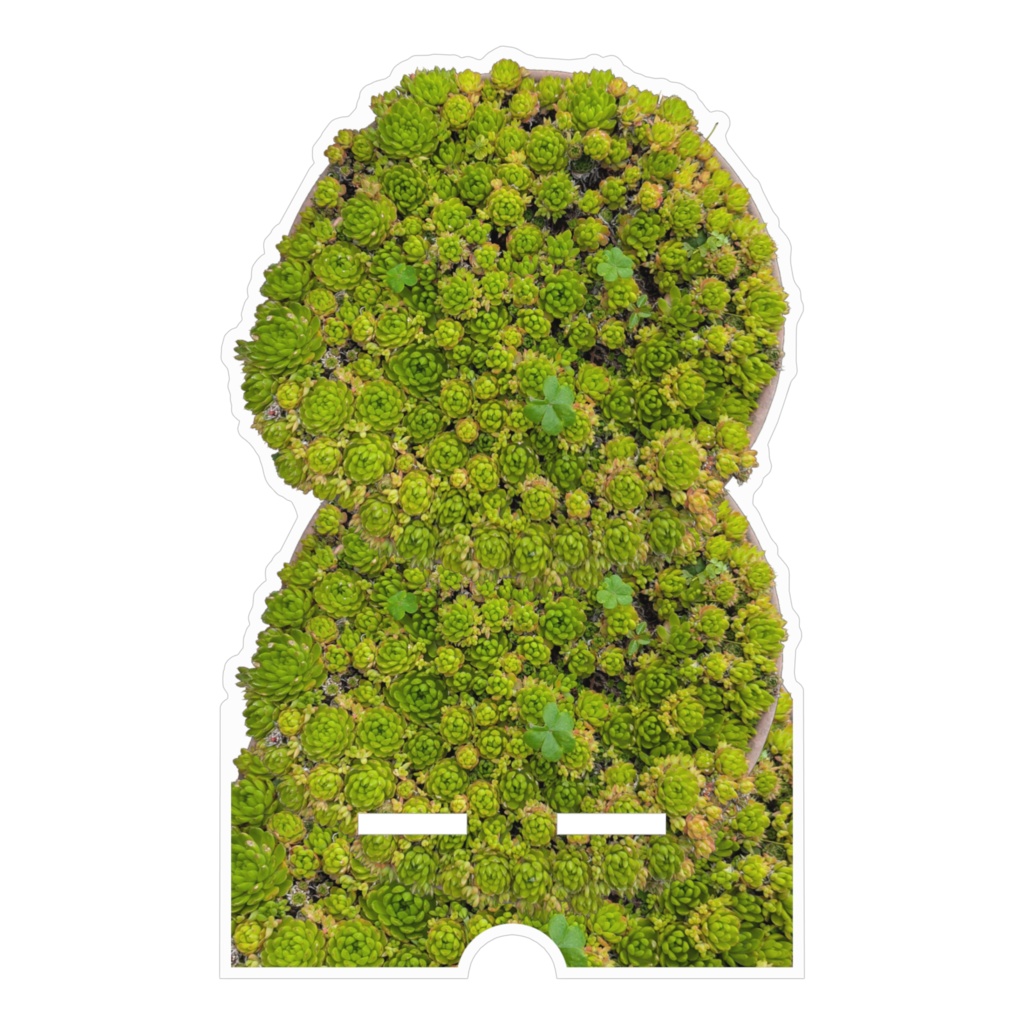 多肉植物の生命感