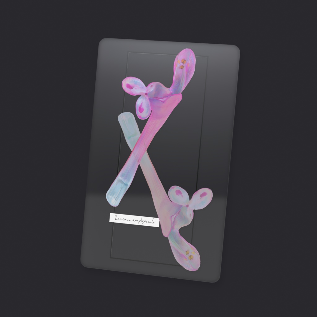 ホトケノザ クリアカード