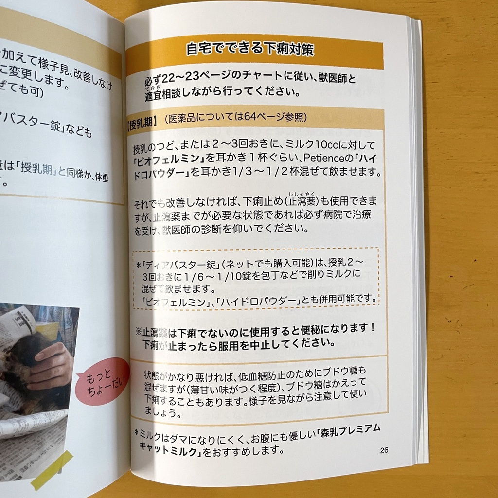 『乳飲み子猫SOS!!おたすけハンドブック』印刷本