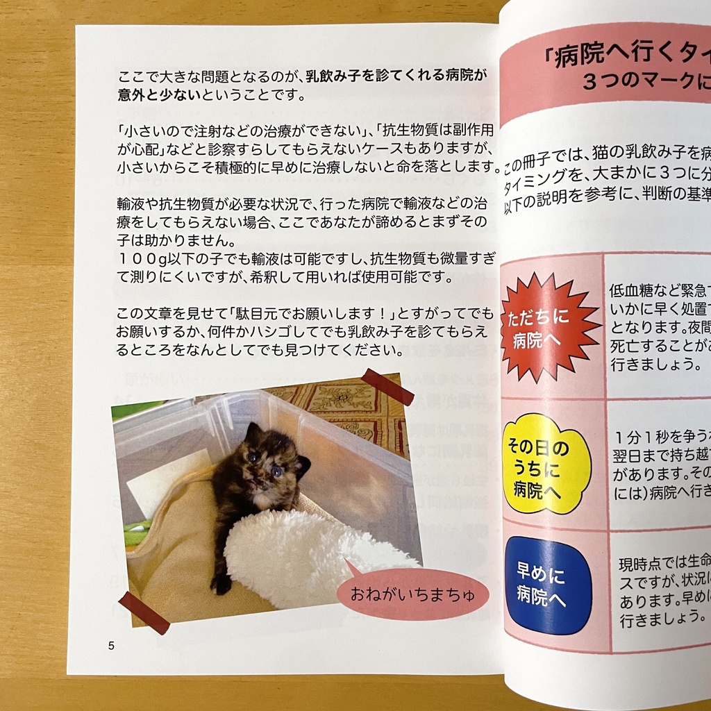 『乳飲み子猫SOS!!おたすけハンドブック』印刷本