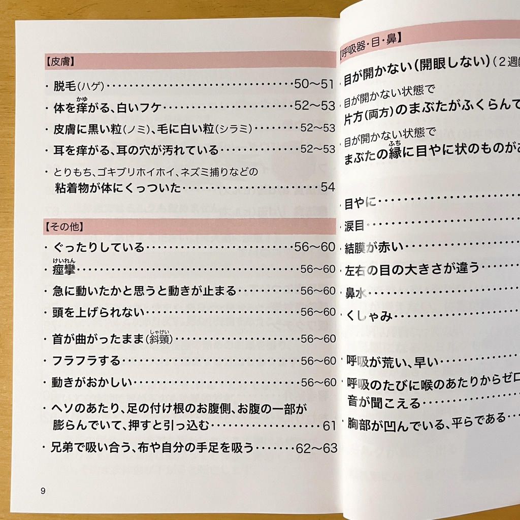 『乳飲み子猫SOS!!おたすけハンドブック』印刷本