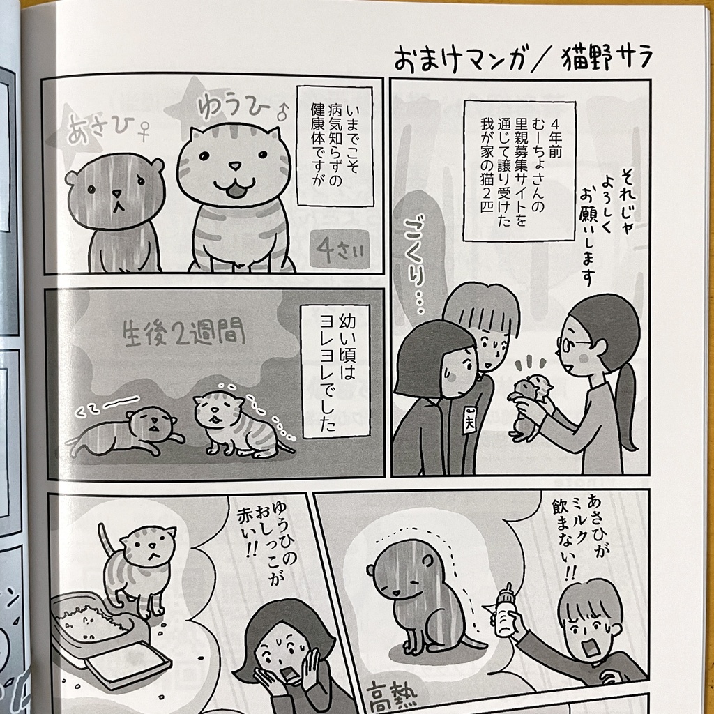 『てのひら子猫の育て方』印刷本