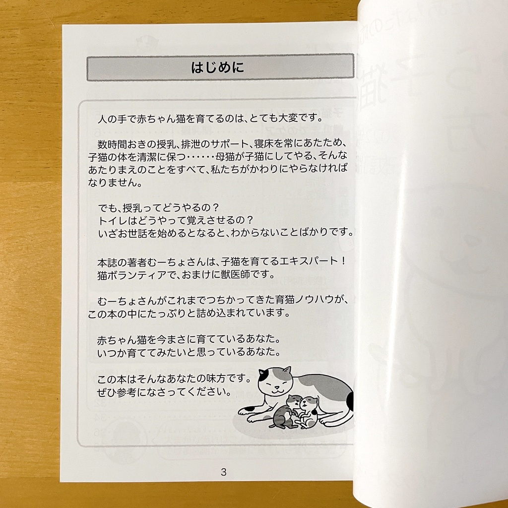 『てのひら子猫の育て方』印刷本