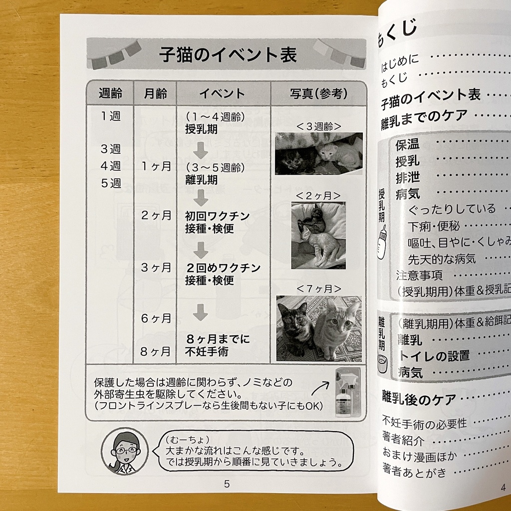 『てのひら子猫の育て方』印刷本