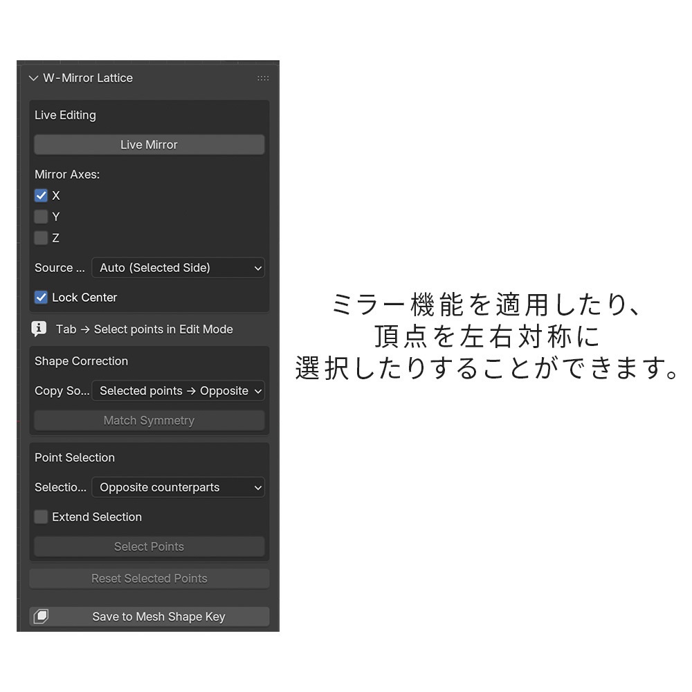 W-Mirror Lattice / Blender Addon (EN,KR)