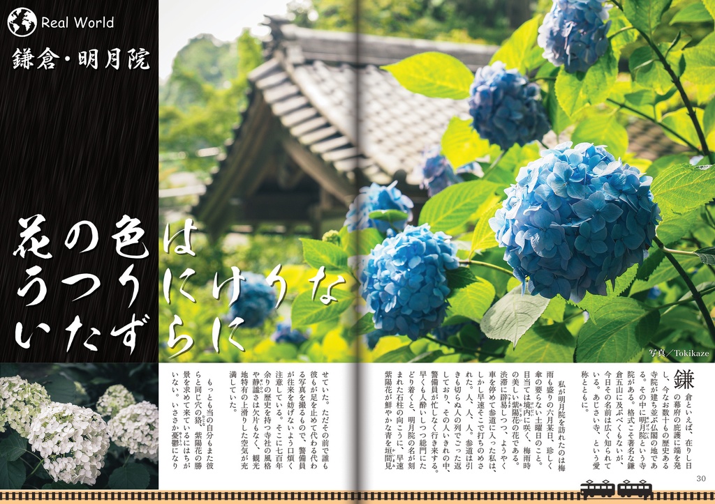 【フリーペーパー】メタバース写真旅行誌『Platform』Vol.6 水たまりの季節