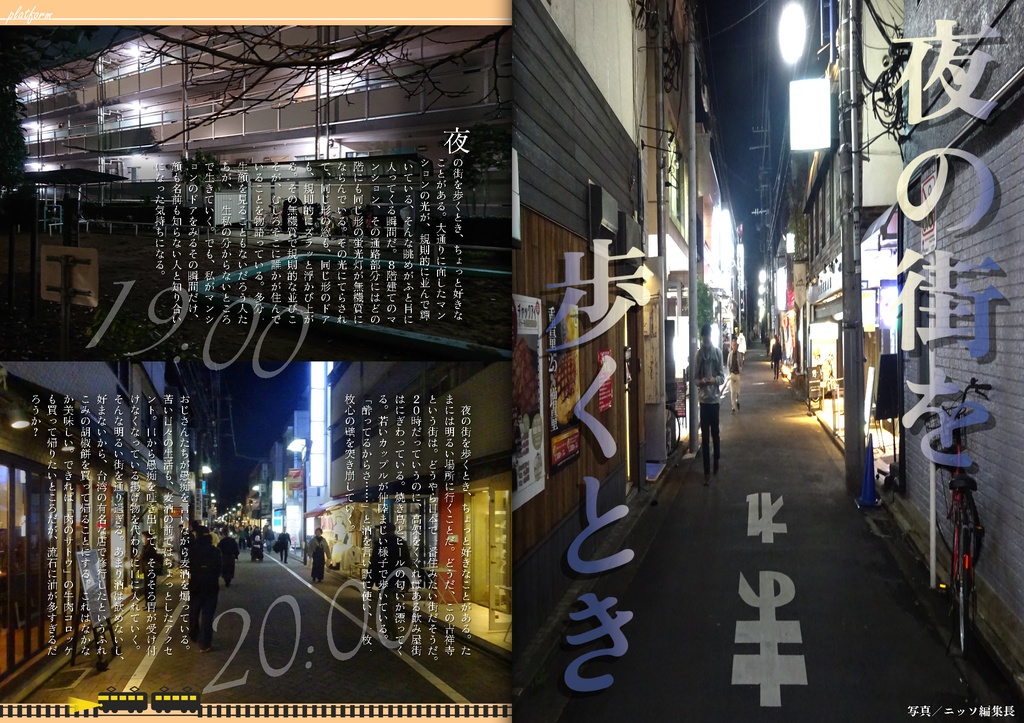 【フリーペーパー】メタバース写真旅行誌『Platform』Vol.9 ナイトヱスケープ