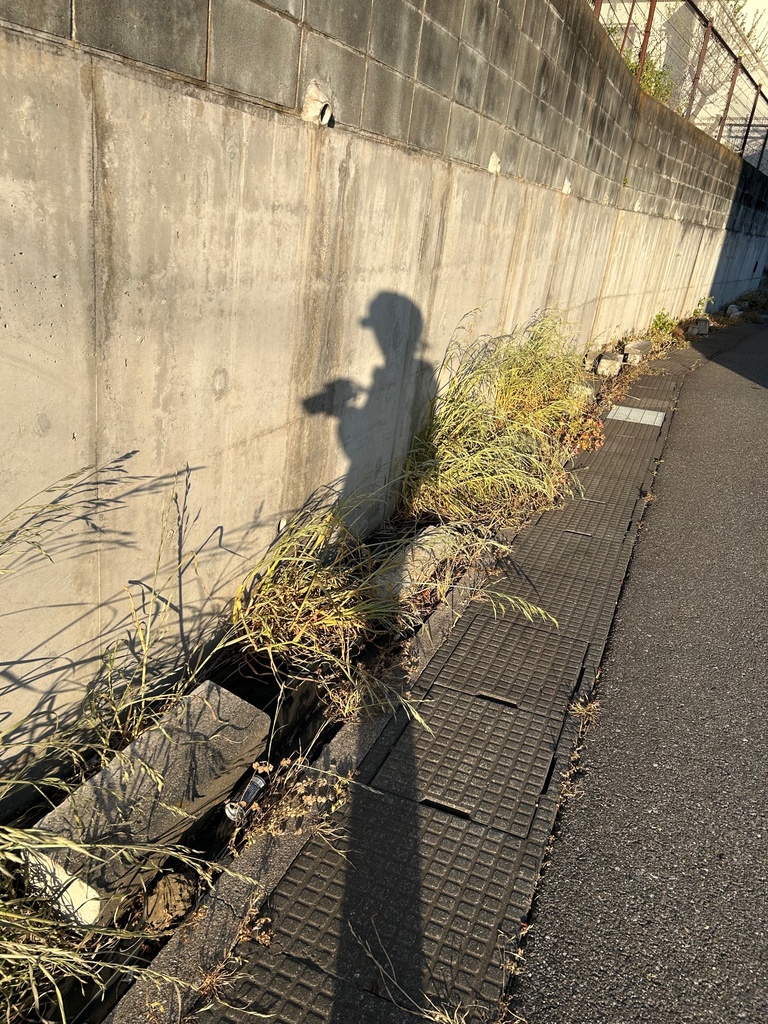 写真集1