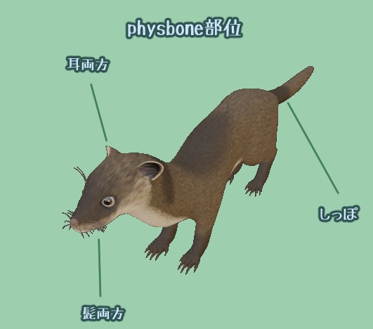 リアルチックなイタチ【VRCアバター/Quest版有】【ver1.02】