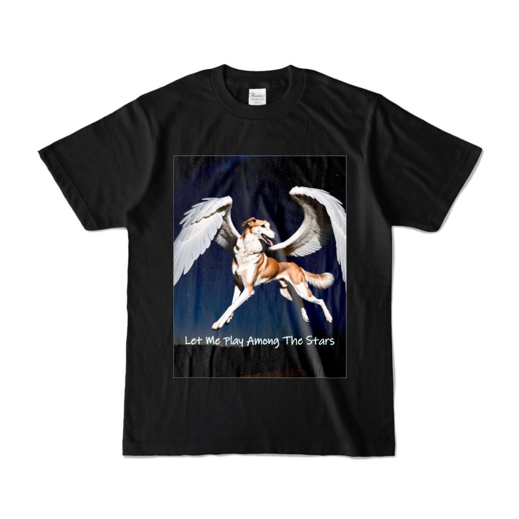 Let Me Play Among The Stars CT