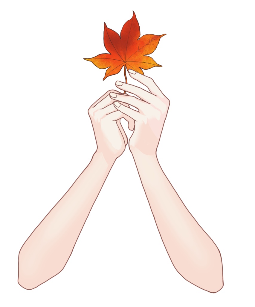 紅葉を持つ手