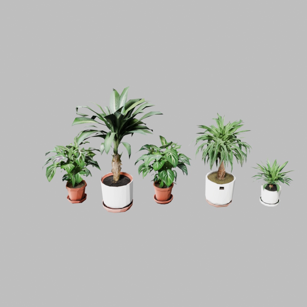 観葉植物18点セット