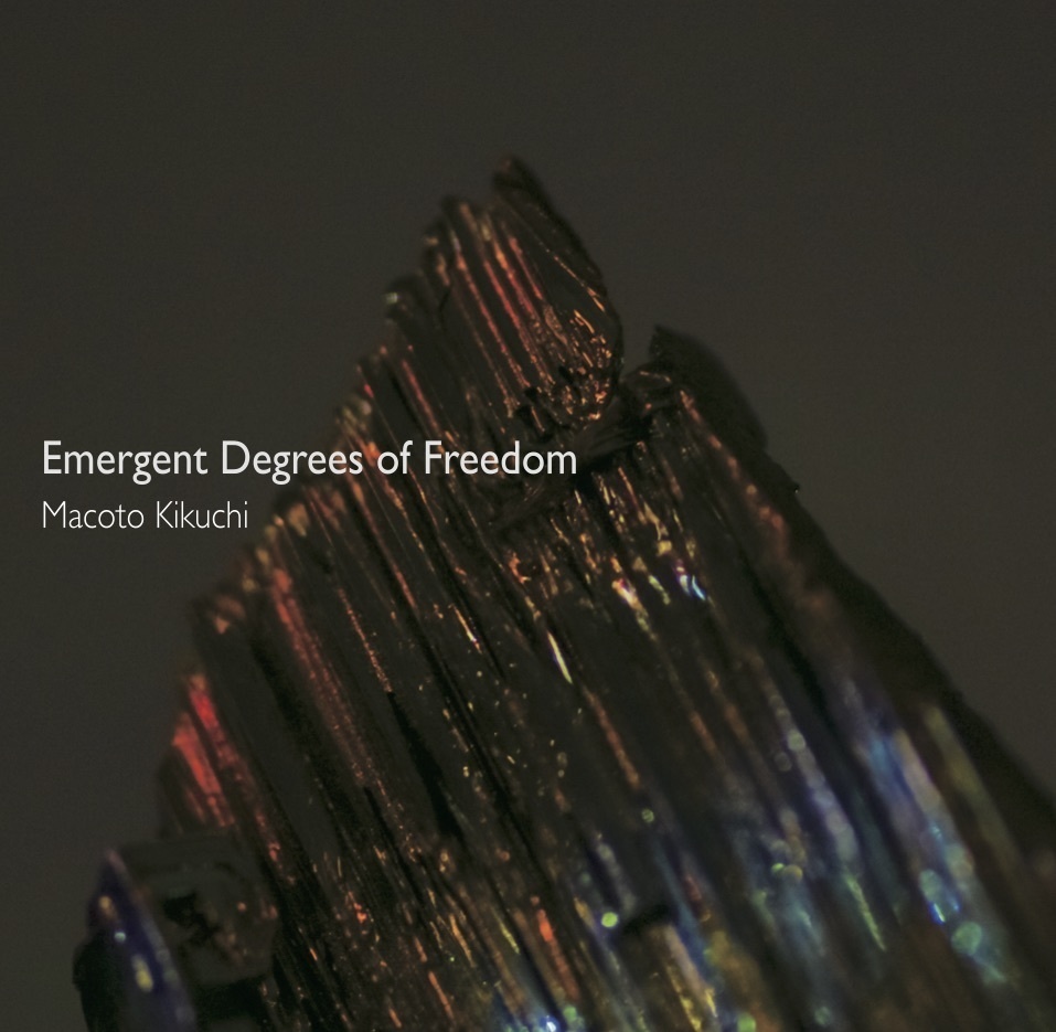 Emergent Degrees of Freedom / 菊池誠