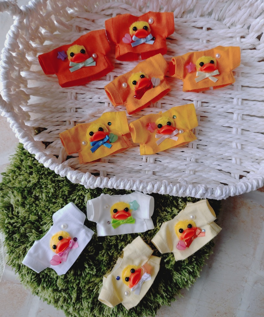 ぐわぴよ🪿🐤(10cm用)