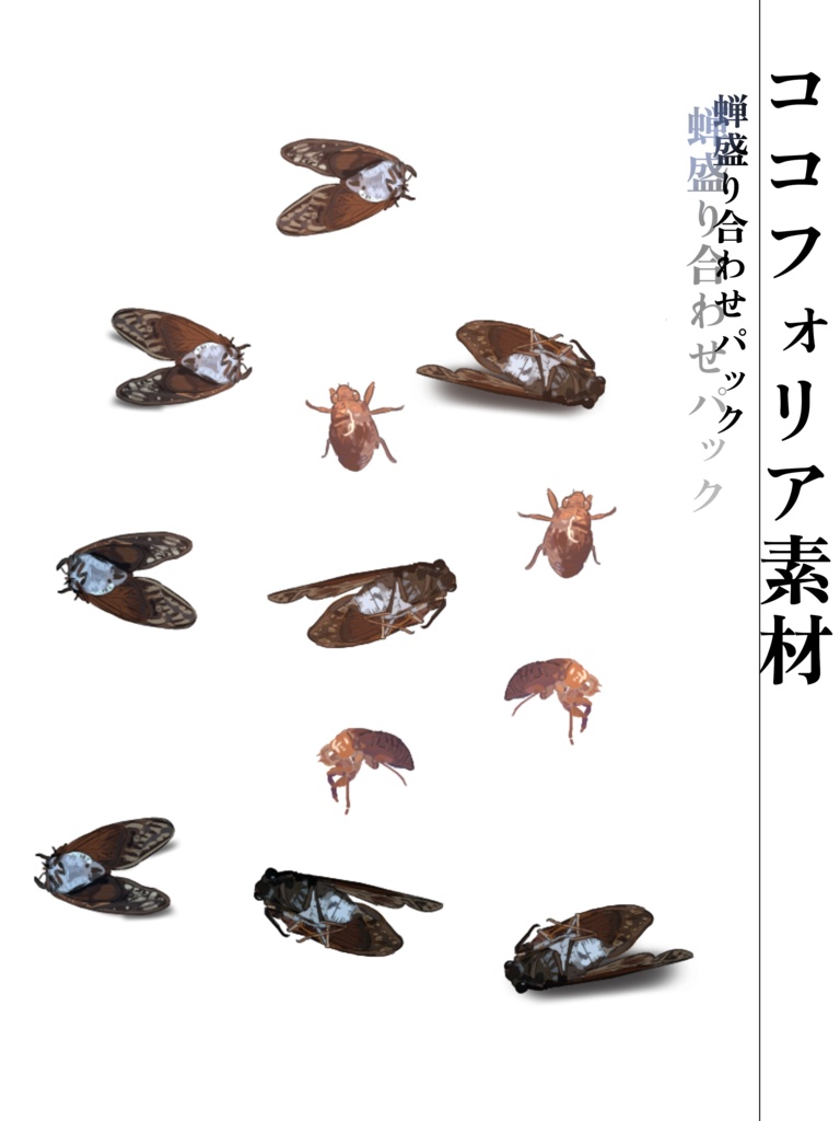 【無料】TRPG夏シナリオ向けイラスト素材１　蝉の抜け殻、蝉