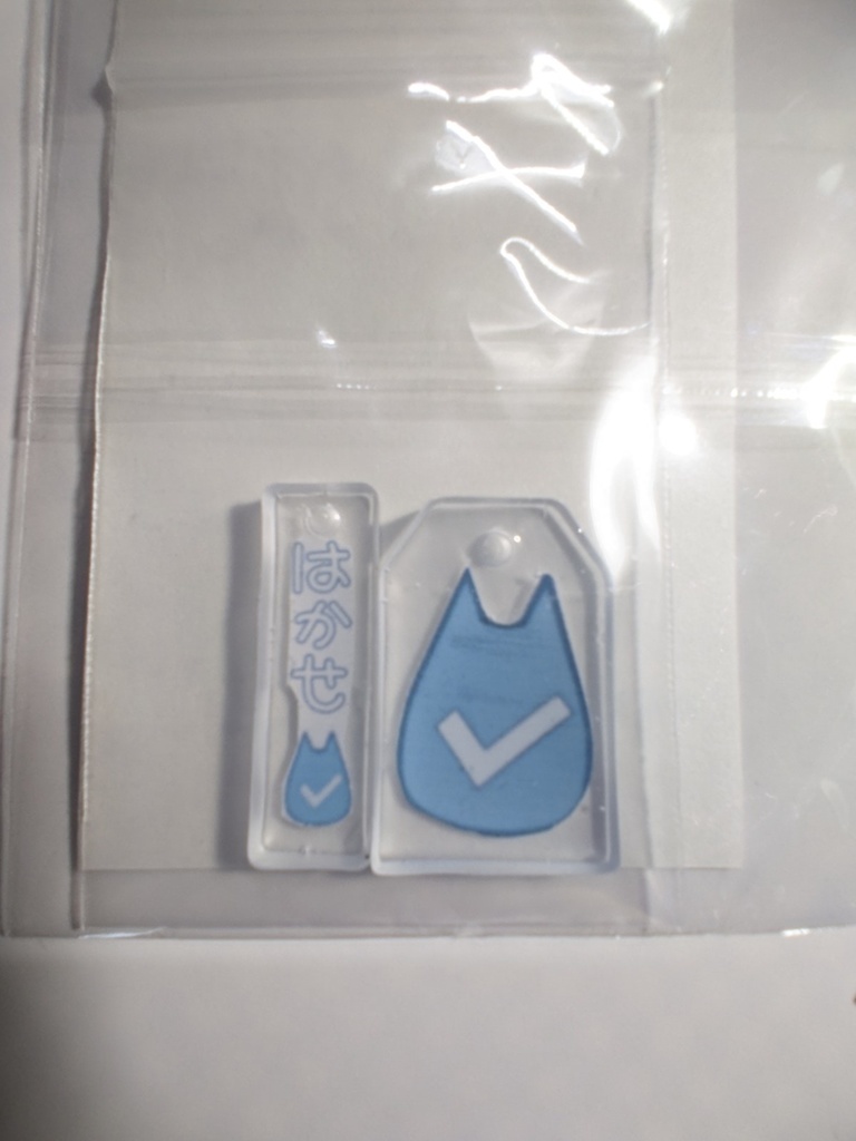 博士チャーム：レジンチャーム2個セット