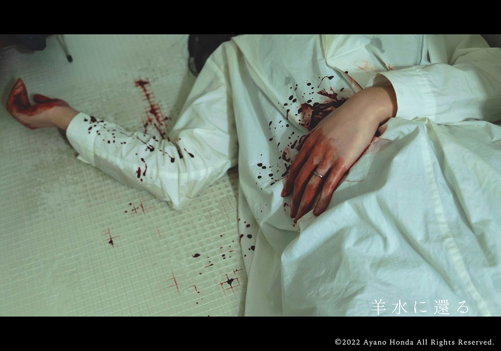 柄シャツ男 創作デジタル写真集『羊水に還る』