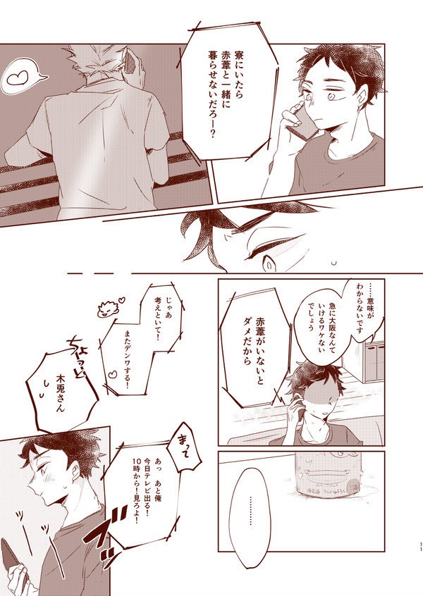 サイダーロード ※見本品