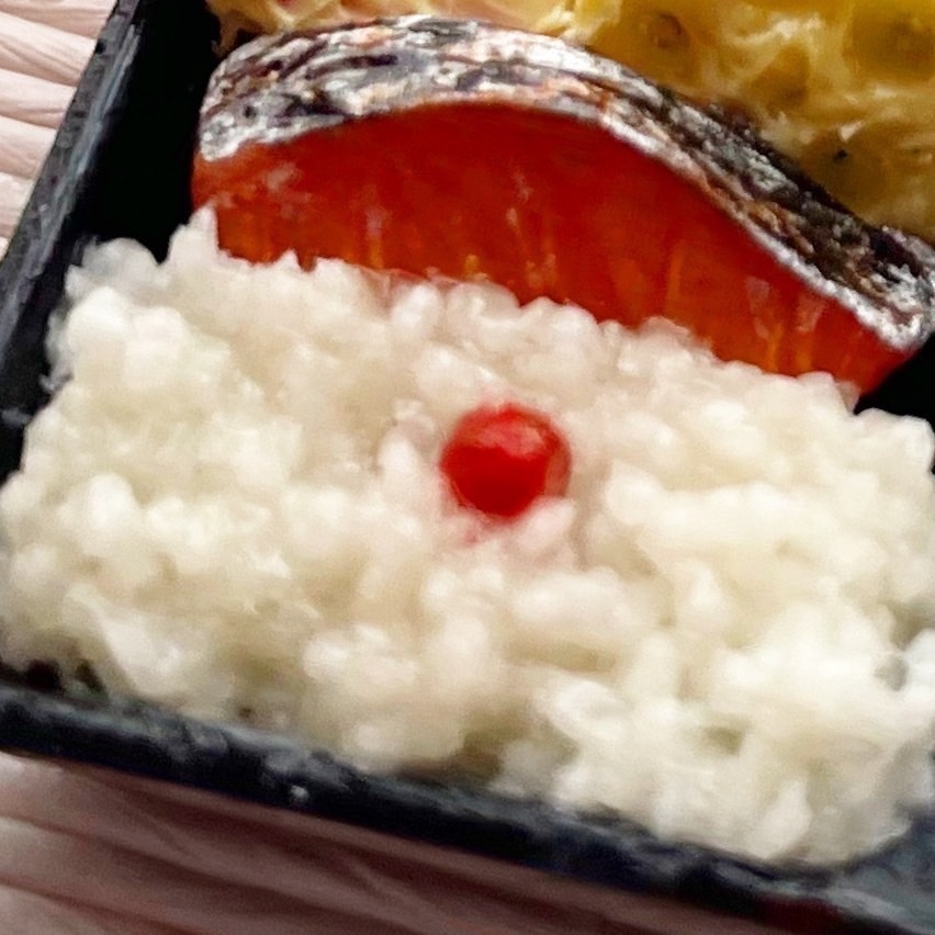 ミニチュア お花見弁当 幕の内 天ぷら 桜餅 🌸 ドールハウス ミニチュアフード