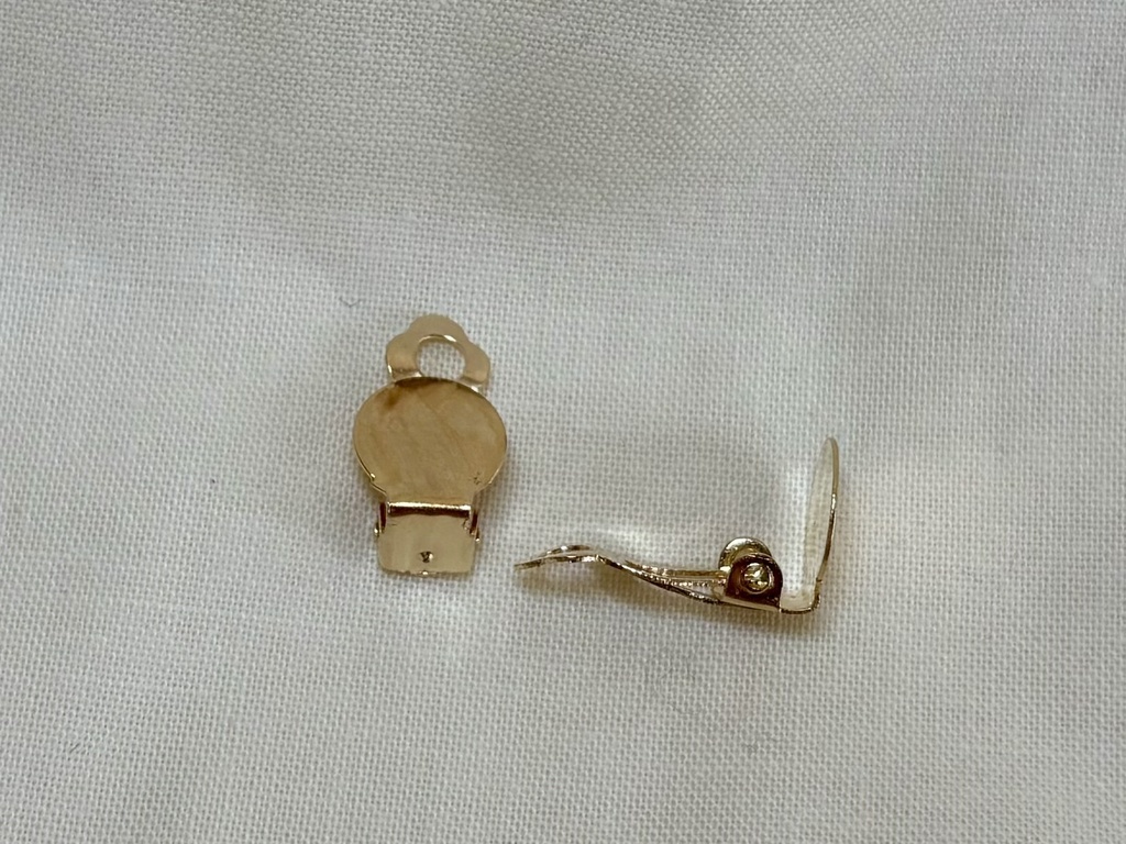 APPLE【イヤリング】