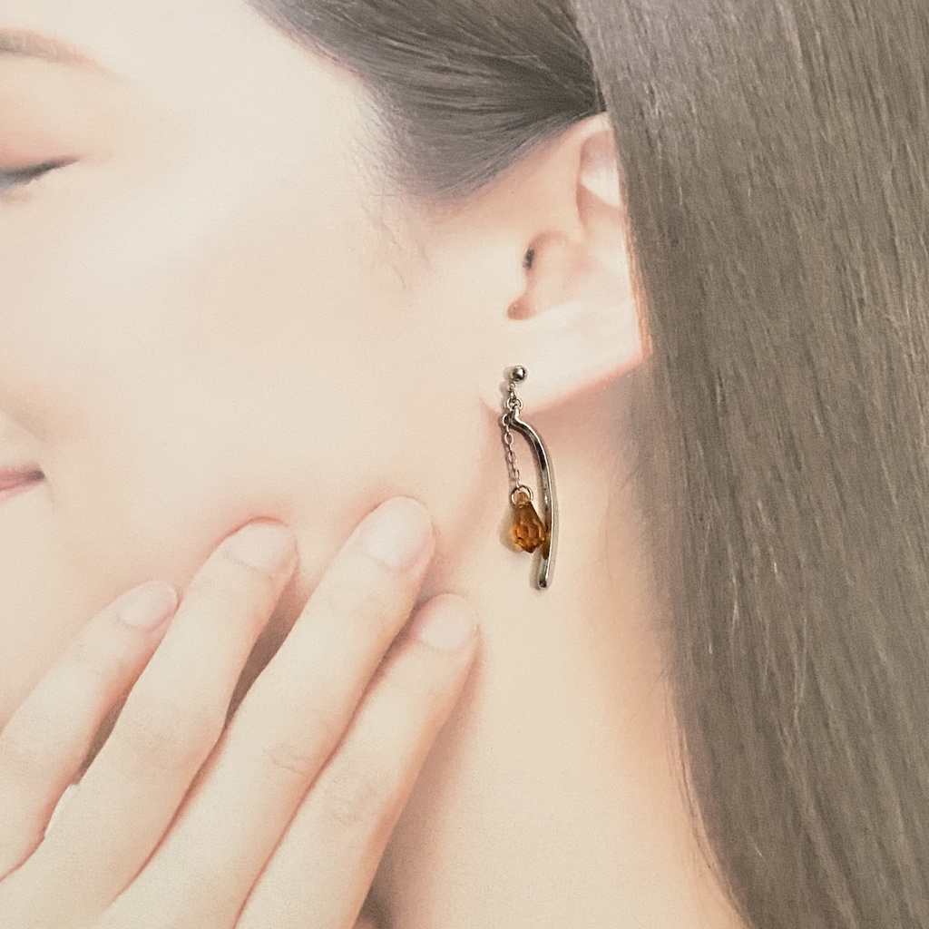 キャラクターイメージピアス、イヤリング