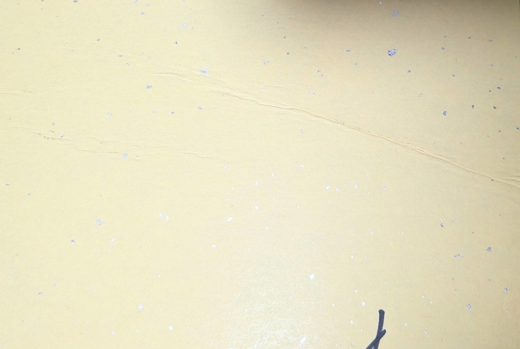 【直筆大色紙】ゆゆみょん