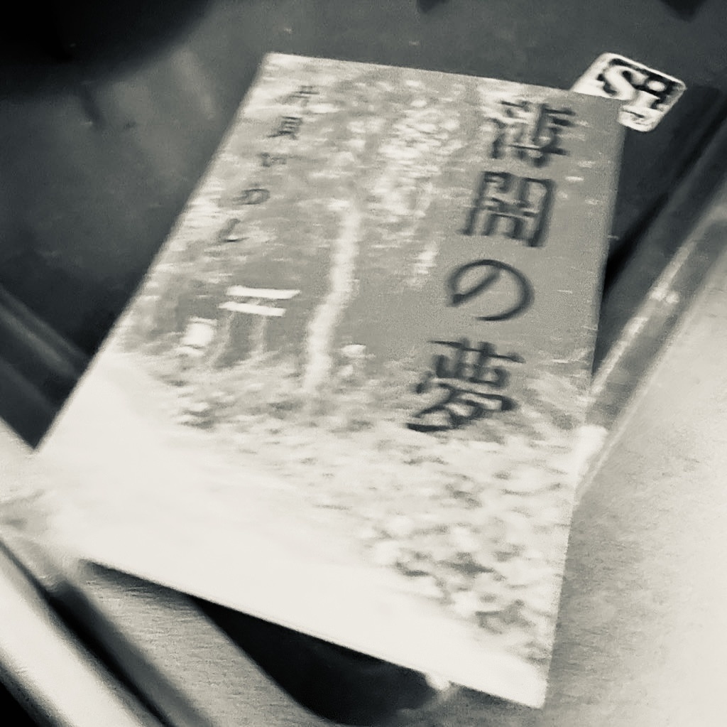 【既刊セット】三門市の幽霊+薄闇の夢