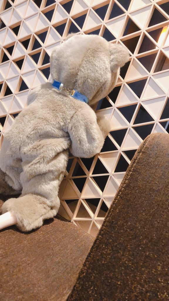 着るぬいぐるみ