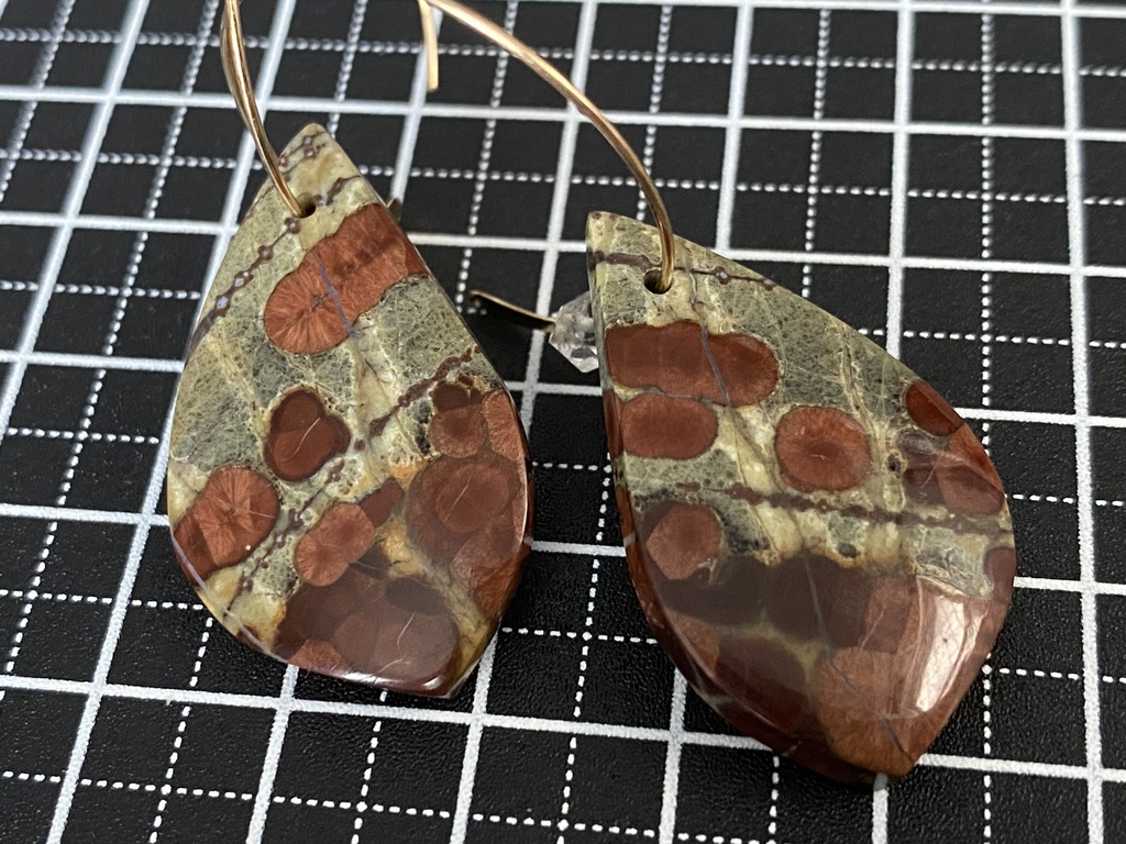 岡田以蔵イメージ「すぐそこに」ピアス