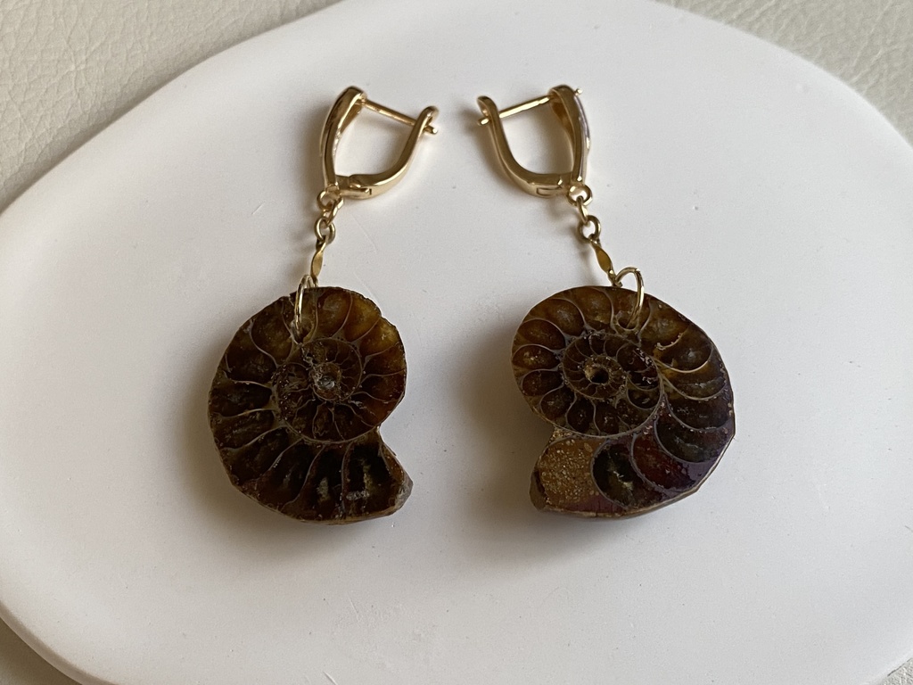 アンモナイトのピアス