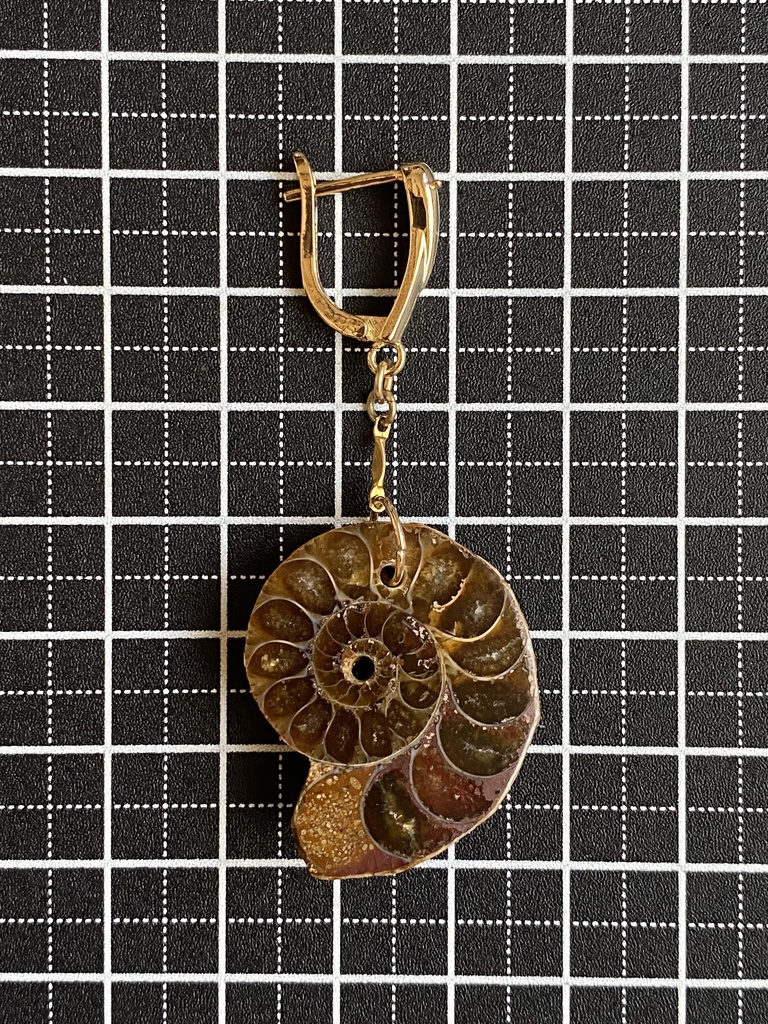 アンモナイトのピアス