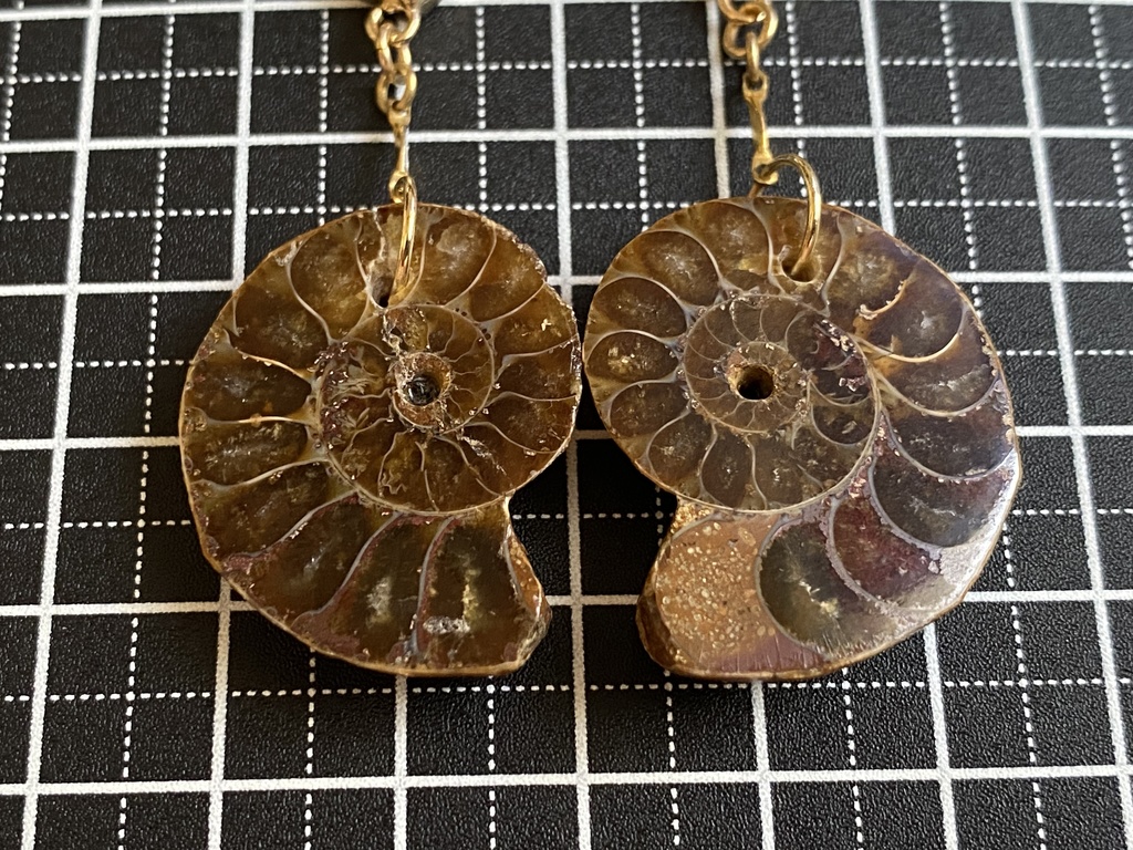 アンモナイトのピアス