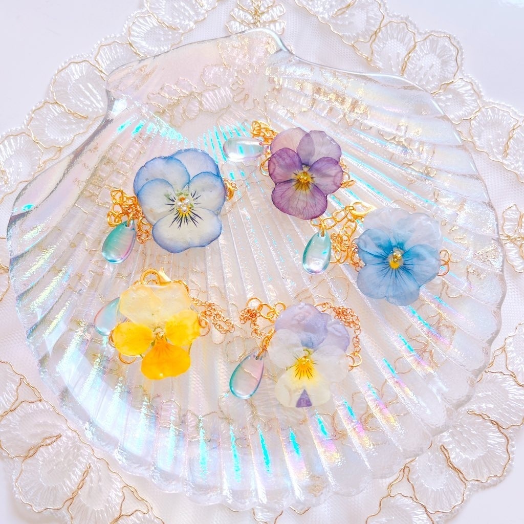 ❁⃘ビオラSeries