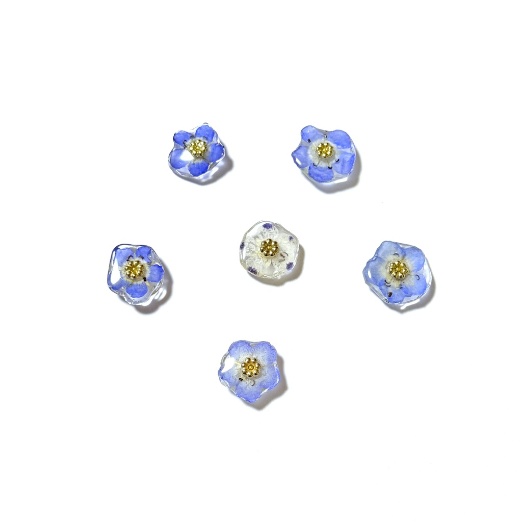 ネモフィラのヘアアクセ‪❁