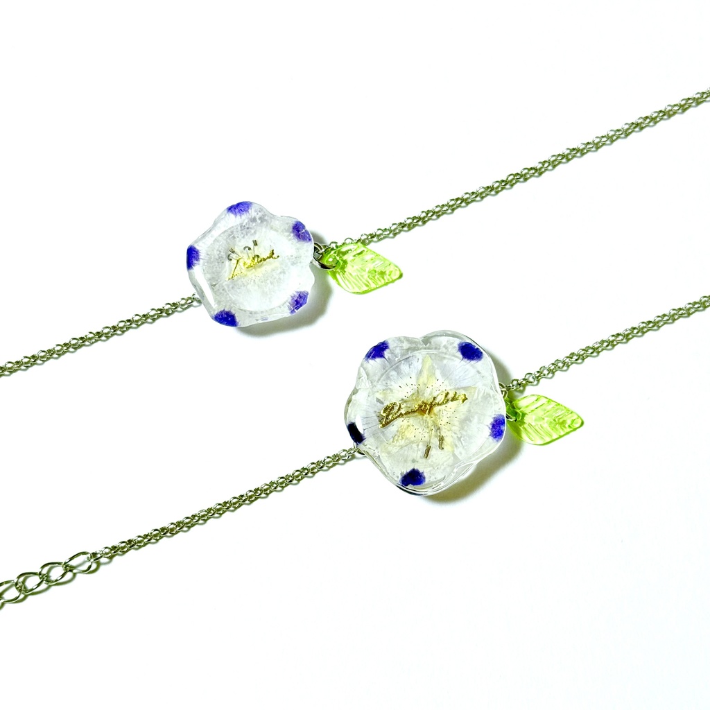 ๐ณ๐๐๐๐ ๐๐๐๐ ๐๐ ๐๐๐๐๐๐๐๐๐ผ