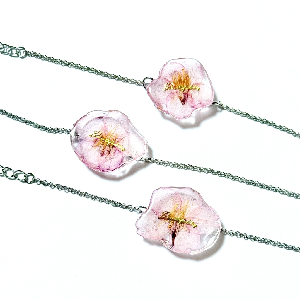 ๐ณ๐๐๐๐ ๐๐๐๐ ๐๐ ๐๐๐๐๐๐๐๐๐ผ