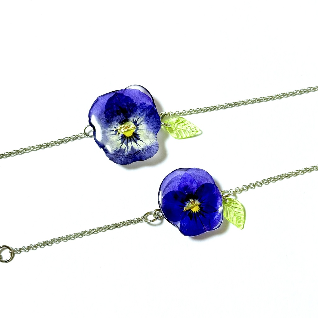 ๐ณ๐๐๐๐ ๐๐๐๐ ๐๐ ๐๐๐๐๐๐๐๐๐ผ