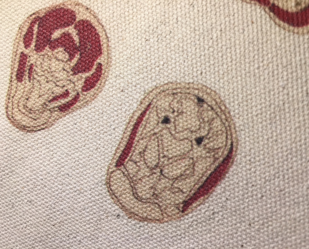 人体断面図トートバッグ