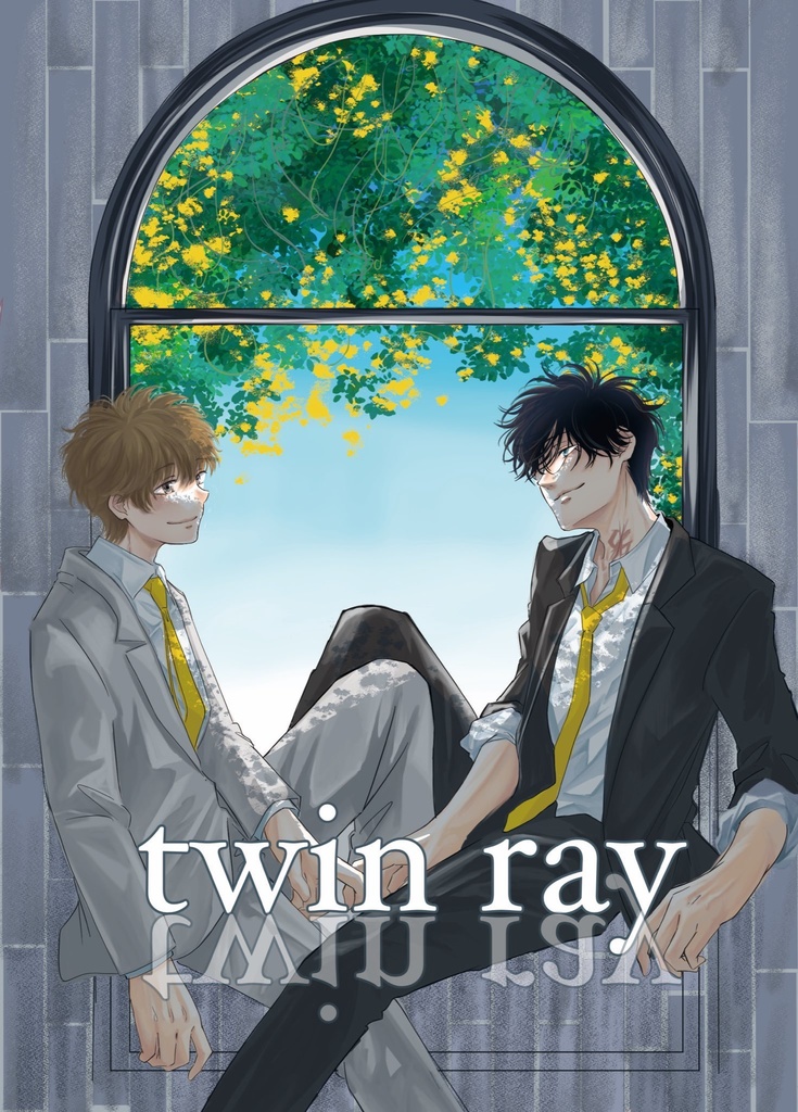 twin ray