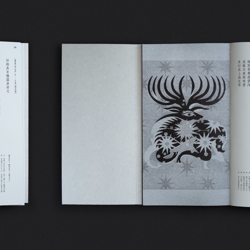 星禽−28 Chinese ZOOdiac