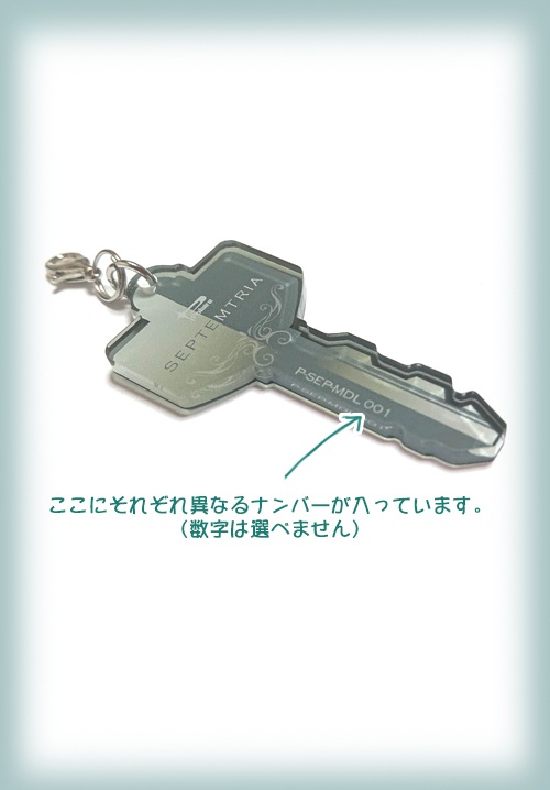 LilyONトラックキーホルダーセット(シリアルナンバー入り)