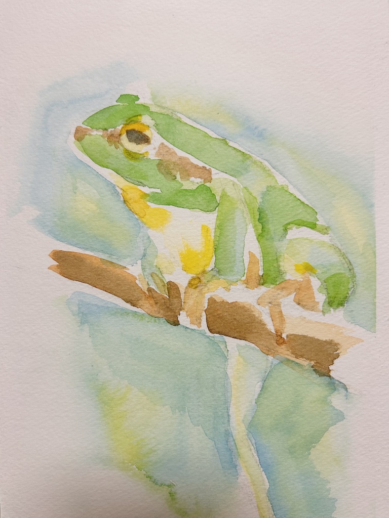 蛙 SMサイズ 額なし