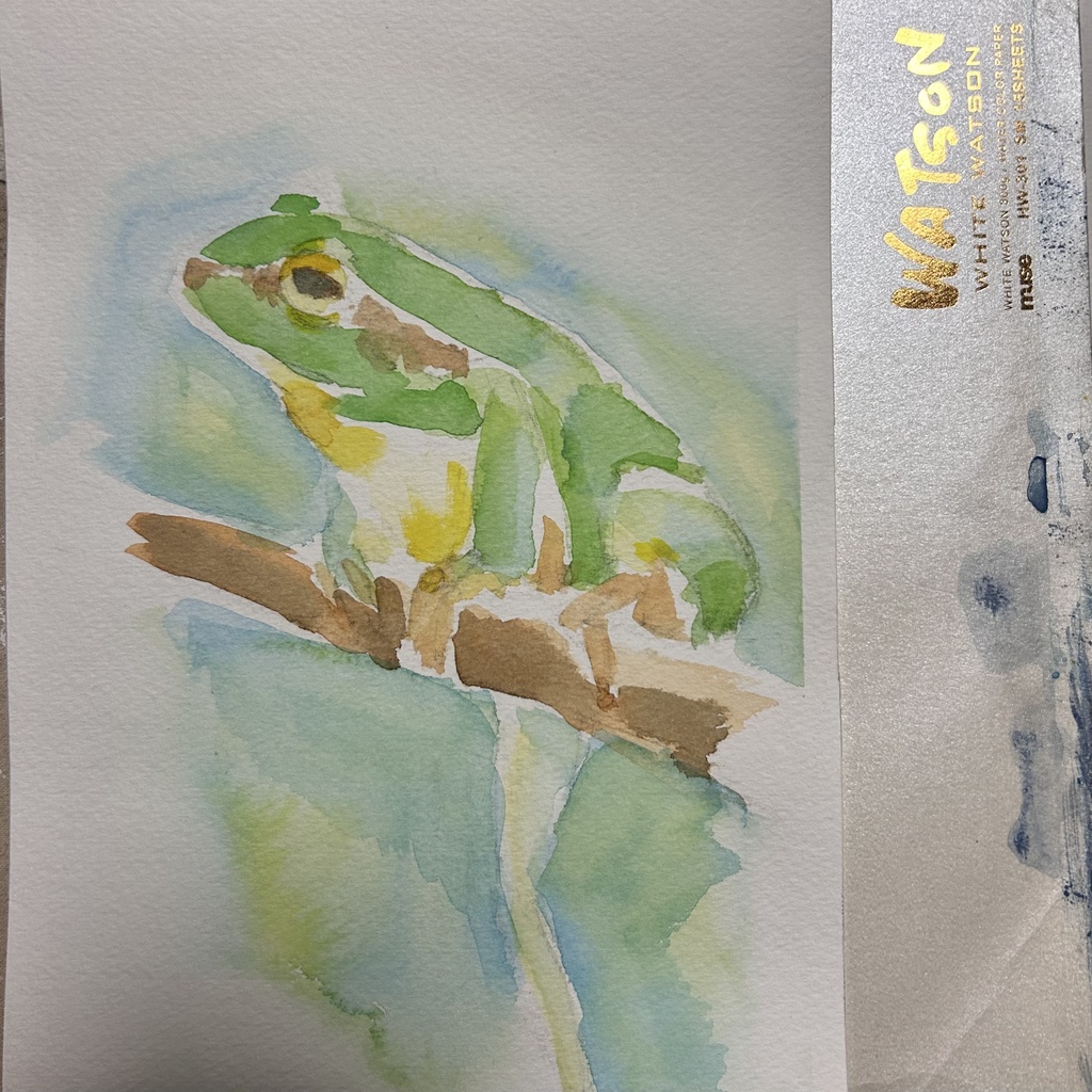 蛙 SMサイズ 額なし