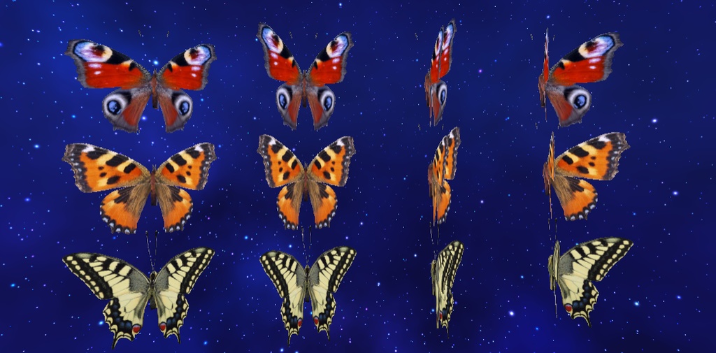 Animated Butterfly's